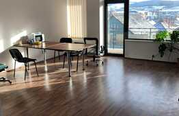 Spatiu comercial, 740 mp, cu vad excelent, zona Avram Iancu!