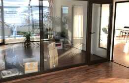 Spatiu comercial, 740 mp, cu vad excelent, zona Avram Iancu!