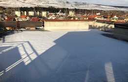 Spatiu comercial, 740 mp, cu vad excelent, zona Avram Iancu!