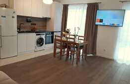 2 camere, 48 mp, terasa 40 mp, la cheie, parcare, zona Calea Turzii