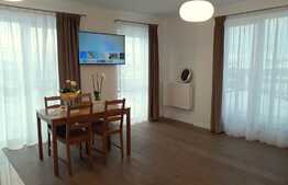 2 camere, 48 mp, terasa 40 mp, la cheie, parcare, zona Calea Turzii