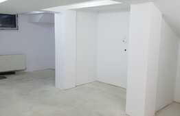 Spatiu comercial, 110 mp, zona strazii Bucuresti