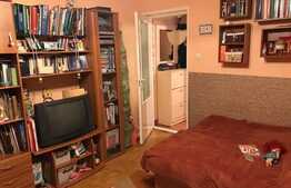 De vanzare, garsoniera 29 mp, Zona Stadion CFR!