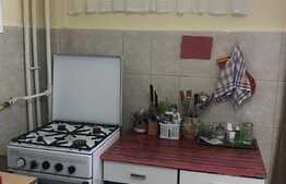 Garsoniera 28 mp, recent renovat, zona Mc'Donalds!