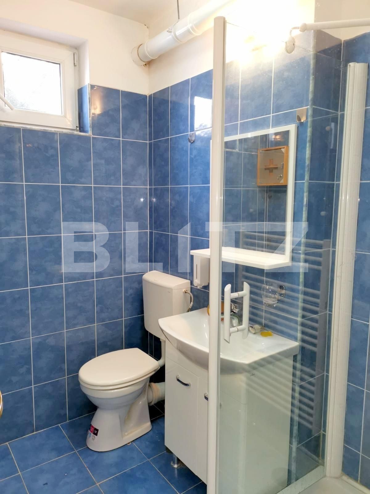 Casa de închiriat 5 camere Bună Ziua - 36127CI | BLITZ Cluj-Napoca | Poza19