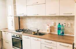 Garsoniera, 43 mp, zona USAMV!