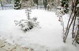 Garsoniera cu gradina, 32 mp. Zona strazii Eroilor!