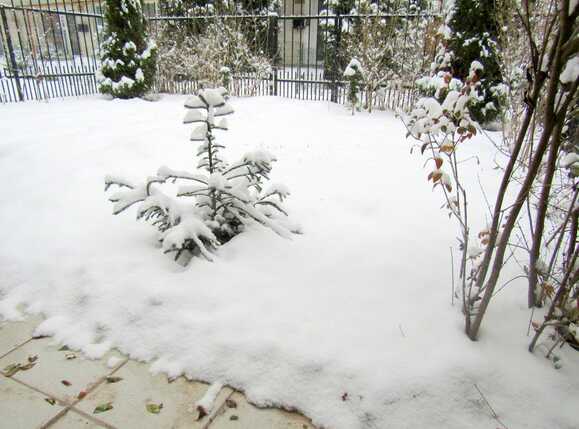 Garsonieră de vânzare Floreşti - 36151AV | BLITZ Cluj-Napoca | Poza7