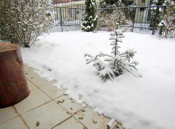 Garsonieră de vânzare Floreşti - 36151AV | BLITZ Cluj-Napoca | Poza8