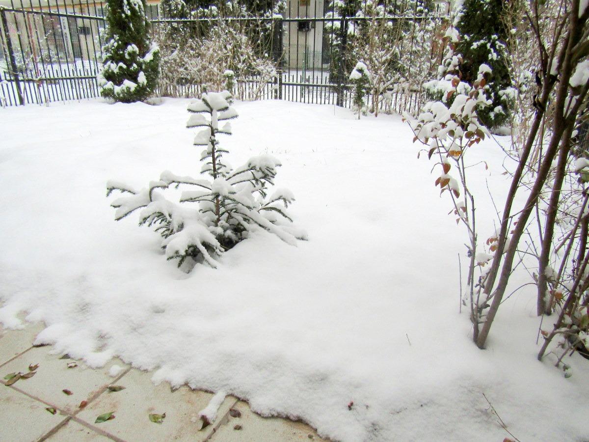 Garsonieră de vânzare Floreşti - 36151AV | BLITZ Cluj-Napoca | Poza7