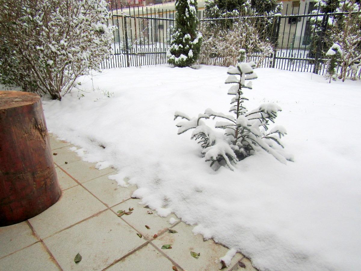 Garsonieră de vânzare Floreşti - 36151AV | BLITZ Cluj-Napoca | Poza8