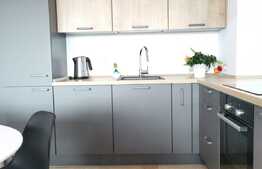 Penthouse 4 camere, 100 mp, mobilat de lux, zona strazii Vanatorului