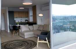 Penthouse 4 camere, 100 mp, mobilat de lux, zona strazii Vanatorului