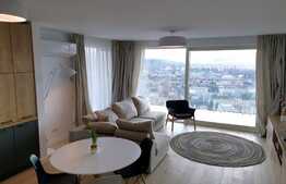 Penthouse 4 camere, 100 mp, mobilat de lux, zona strazii Vanatorului