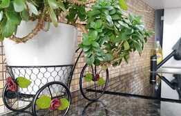 Apartament 3 camere, decomandat, 61 mp, zona BIG