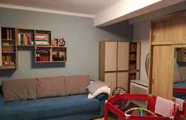 Apartament 1 camera, 30 mp, mobilat si utilat lux, zona Centrala