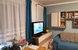 Apartament 1 camera, 30 mp, mobilat si utilat lux, zona Centrala