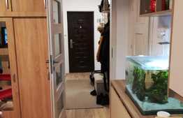 Apartament 1 camera, 30 mp, mobilat si utilat lux, zona Centrala