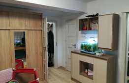 Apartament 1 camera, 30 mp, mobilat si utilat lux, zona Centrala