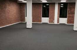 Birouri open space, 280 mp, zona Piata Muzeului 