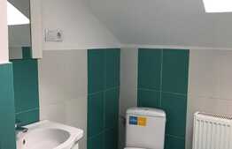 Casa 5 camere, 120 mp, terasa 25 mp, 7 parcari, zona Traian Vuia