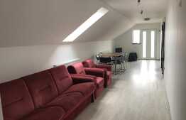 Casa 5 camere, 120 mp, terasa 25 mp, 7 parcari, zona Traian Vuia