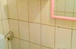 Garsoniera, 22 mp, zona Dambul Rotund!