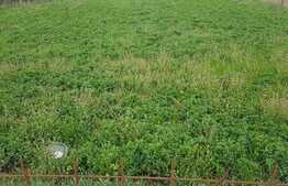 Teren de vanzare, 3285 mp, zona Tineretului ! 