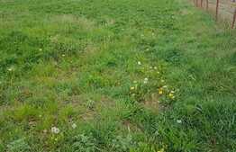 Teren de vanzare, 3285 mp, zona Tineretului ! 