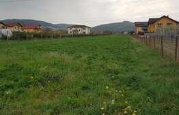 Teren de vanzare, 3285 mp, zona Tineretului ! 