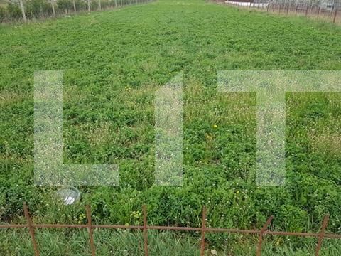 Teren de vânzare Floreşti - 36218TV | BLITZ Cluj-Napoca | Poza2