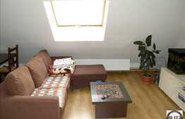 2 camere, 40 mp utili, partial mobilat