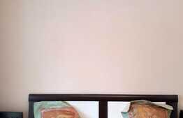 3 camere, decomandat, 75 mp, mobilat modern, A.C., garaj, zona strazii Rapsodiei