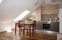 Apartament cu 2 camere, 50 de mp, pet friendly, zona strazii Mircea Eliade