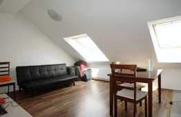 Apartament cu 2 camere, 50 de mp, pet friendly, zona strazii Mircea Eliade