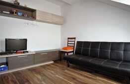 Apartament cu 2 camere, 50 de mp, pet friendly, zona strazii Mircea Eliade