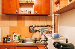 Garsoniera, 24 mp, etaj intermediar, zona strazii Louis Pasteur