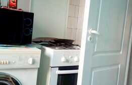 Apartament 3 camere, 77 mp, Pet Friendly, zona strazii Grigore Alexandrescu