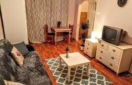 Garsoniera, 27 mp, mobilata modern, Pet Friendly, zona Spitalului de Recuperare!