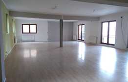 Spatiu comercial, 100 mp, zona strazii Bucuresti