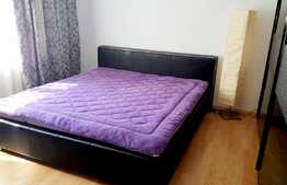 Apartament 2 camere, 70 mp, gradina, mobilat modern, zona Andrei Muresanu!