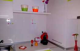 Apartament 2 camere, 70 mp, gradina, mobilat modern, zona Andrei Muresanu!