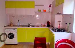 Apartament 2 camere, 70 mp, gradina, mobilat modern, zona Andrei Muresanu!