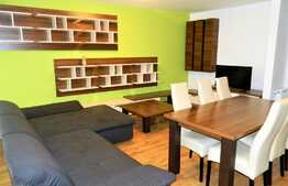 Apartament 2 camere, 58 mp, prima inchiriere, mobilat modern, imobil nou, zona USAMV