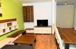 Apartament 2 camere, 58 mp, prima inchiriere, mobilat modern, imobil nou, zona USAMV