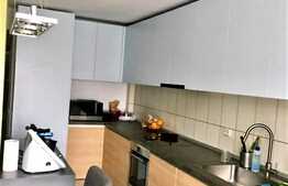 Apartament pe doua niveluri, 115 mp, terasa, parcare, zona strazii Dimitrie Gusti