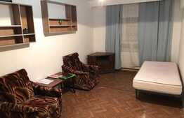 De vanzare, apartament 1 camera, decomandat, 33 mp, zona Bulevardul Muncii