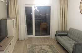 Apartament 2 camere, terasa, mobilat si utilat lux, zona Aurel Vlaicu