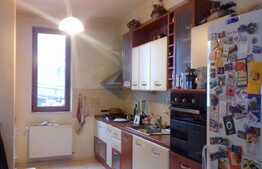 Casa individuala, 260 mp, 600 mp teren, expunere sudica!