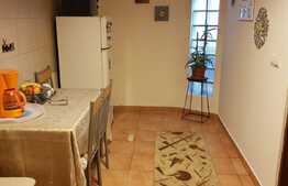 Apartament 1 camera, 42 mp, parcare, gradina spatioasa, zona strazii Vasile Parvan